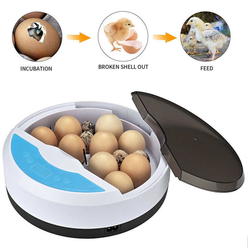 Egg Incubator 9 Eggs Digital Fully Automatic