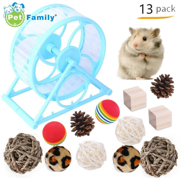 13pcs Hamster Toys Set  Guinea Pig