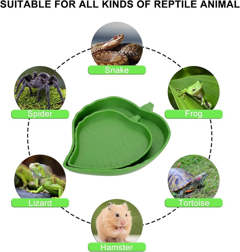 Reptile Leaf Food Water Bowl 2pc combo