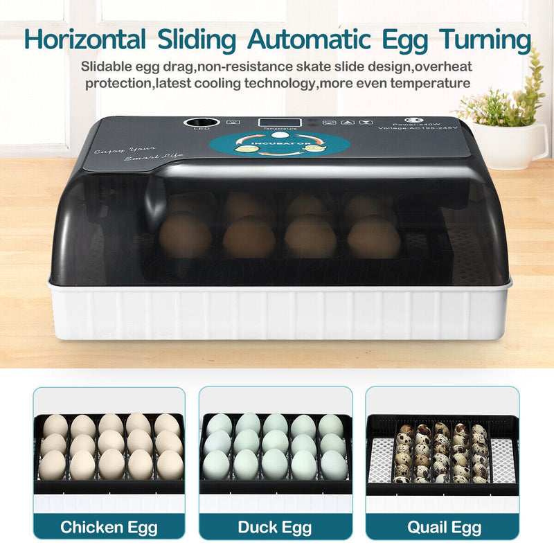 12Eggs Egg Incubator Digital Fully Automatic Egg Turning