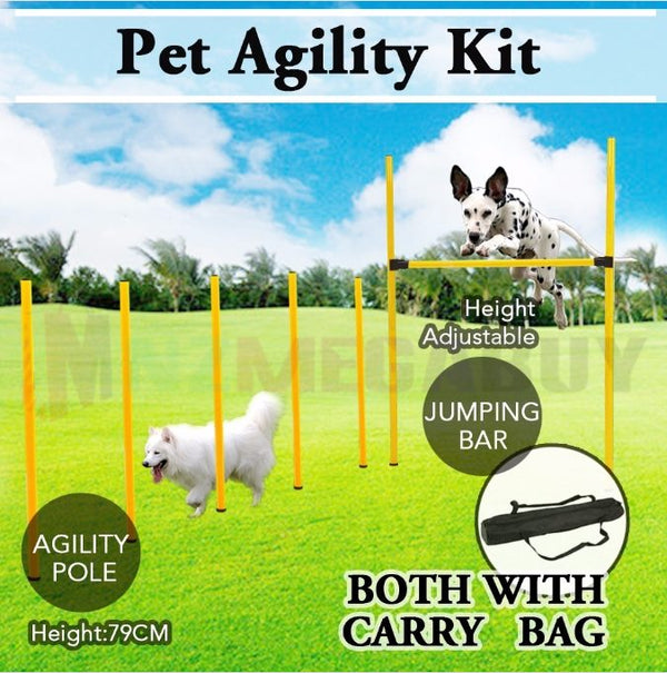 Brand New Dog Agility Training Exercise Equipment Set