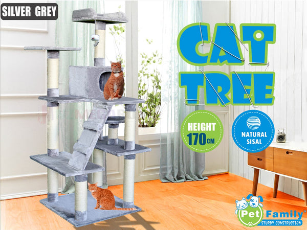 Cat Scratching Post Tree