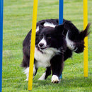 Dog Agility Weave Poles