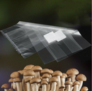 10PCS Mushroom Grains Spawn Grow Bag Substrate High Temp Pre Sealable 250x500mm