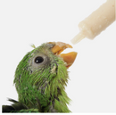 10ml Disposable Feeding Syringe for Pets 10pc