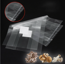 10PCS Mushroom Grains Spawn Grow Bag Substrate High Temp Pre Sealable 250x500mm