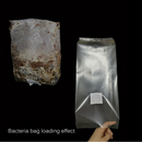 10PCS Mushroom Grains Spawn Grow Bag Substrate High Temp Pre Sealable 250x500mm