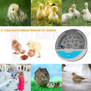 9 Egg Digital incubator – Automatic LED Hatch for Chicken, Duck & Quail Eggs