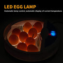 9 Egg Digital incubator – Automatic LED Hatch for Chicken, Duck & Quail Eggs