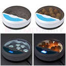 9 Egg Digital incubator – Automatic LED Hatch for Chicken, Duck & Quail Eggs