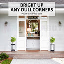 Plant Stand Metal  2 Tiers  Black  60CM