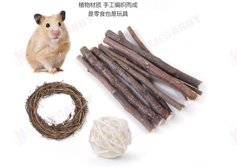 11pcs Hamster Toys Set  Guinea Pig*Green