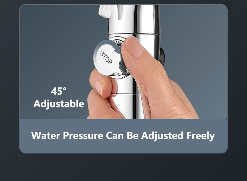 Luxury Shower Head