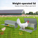 Automatic Chicken Feeder 5KG