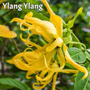 Deluxe ARTLOVE Candle Making Kit