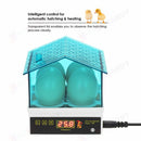 Egg Incubator 4 Eggs Digital