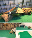 Reptile Carpet 2pc combo