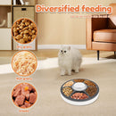 Automatic Pet Feeder (Over Stocked)