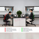 nzmegabuy ergonomic kneeling chair with backrest showing improved posture and spinal alignment for office work