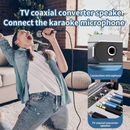 nzmegabuy Bluetooth audio receiver showing microphone connection and RCA ports for home stereo and karaoke setup
