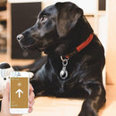 Apple Air Tag Case Airtag Keychain Holder