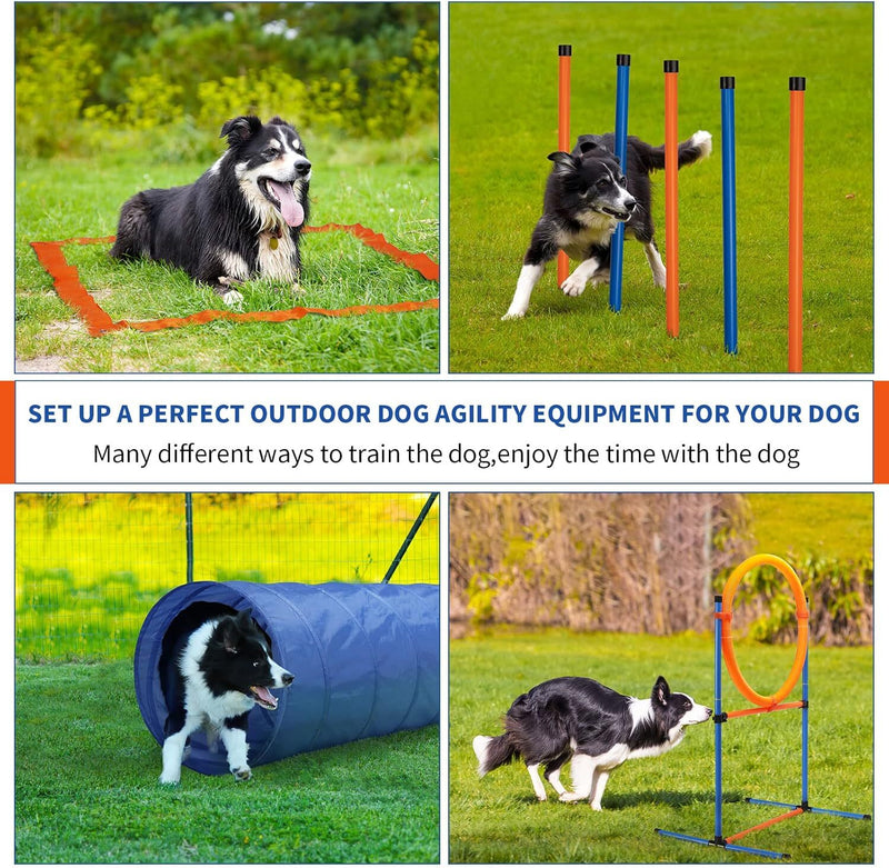New Dog Agility Equipment Afterpay