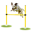 Dog Agility Training Jumping Bar Hoop poles