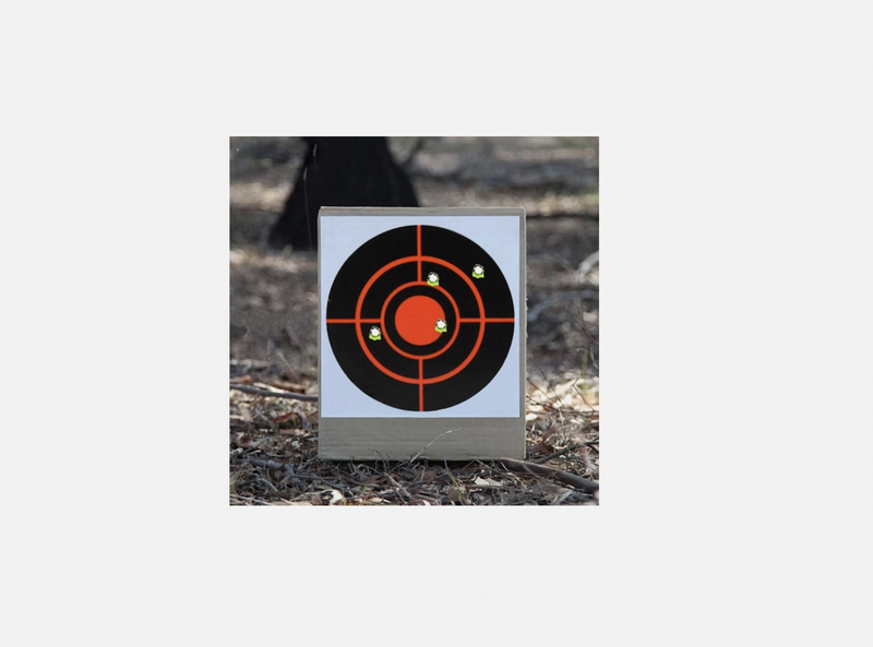 250pcs Shooting Target Self Adhesive Target StickerSports