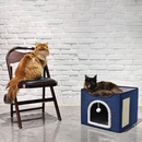 nzmegabuy blue foldable cat house with sisal scratch pad and plush ball, featuring a cat resting inside