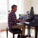 Metronome Standard Universal Mechanical Metronome for Piano Guitar Violin