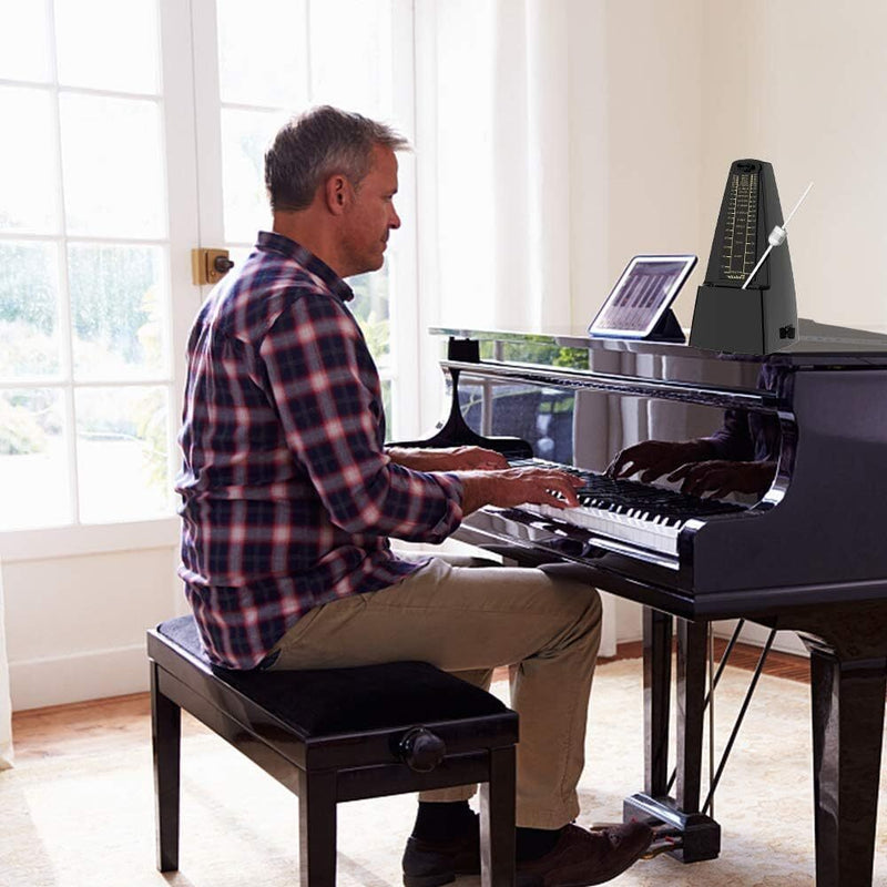 Metronome Standard Universal Mechanical Metronome for Piano Guitar Violin