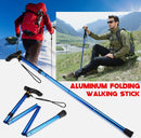 Brand New Hiking Poles Walking pole *Sale NOW* *2 Colors