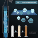 nzmegabuy handheld shower head filter diagram showing water purification process and replacement filter comparison