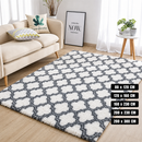 Super Soft WNC Shaggy Carpet Rug | Modern Plush Floor Rug