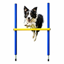Dog Agility Training Jump Bar