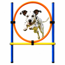 Dog Agility Jump Ring Obstacle Excercise Pole Set