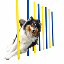 Dog Agility Weave Poles