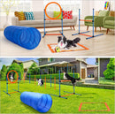 New Dog Agility Equipment Afterpay