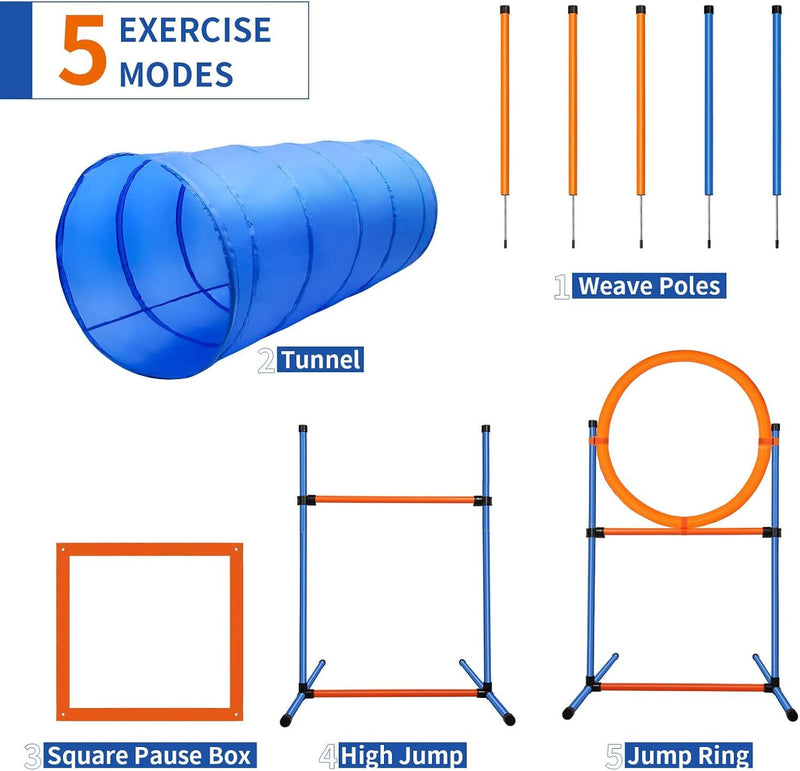 New Dog Agility Equipment Afterpay
