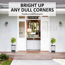 nzmegabuy 2-tier black metal plant stands placed on a porch entrance with potted green plants