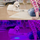 nzmegabuy 51 LED UV flashlight revealing a pet urine stain on a carpet near a puppy in a split-screen view