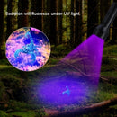 nzmegabuy 51 LED UV flashlight emitting a purple beam to reveal a glowing scorpion in a dark forest setting