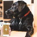 nzmegabuy waterproof TPU AirTag keychain holder attached to a black dog collar with a smartphone tracking app view