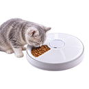 A grey tabby cat eating dry kibble from a white nzmegabuy automatic programmable pet food feeder on a white background