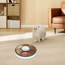 nzmegabuy automatic programmable pet feeder with six compartments filled with food, sitting on a carpet near a cat.