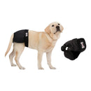 nzmegabuy black washable female dog diaper with velcro closure worn by a labrador and shown separately