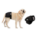 nzmegabuy black washable female dog diaper with velcro closure worn by a labrador and shown separately