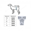 nzmegabuy grey washable female dog diaper with velcro closure and size chart for proper fit