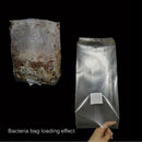 nzmegabuy 10-pack transparent polypropylene mushroom spawn grow bags with air-vent filter for fungi cultivation