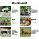 nzmegabuy guide showing various pest animals like possums and raccoons with their recommended bait types for trapping